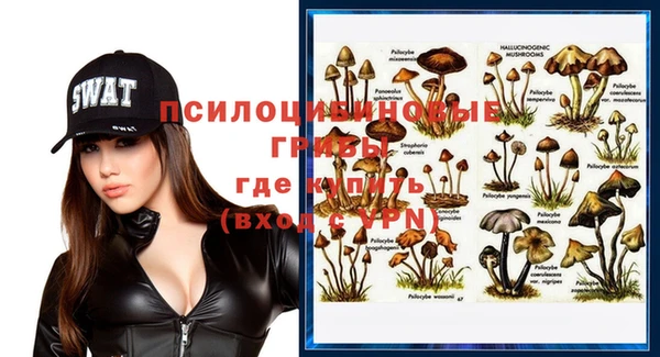 первитин Балахна