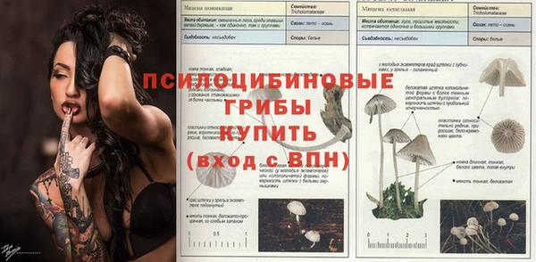 первитин Балахна