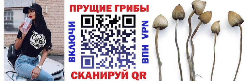мориарти как зайти  Белорецк  Галлюциногенные грибы Cubensis 