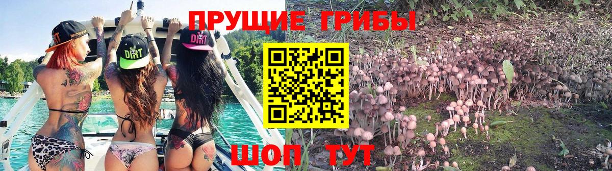 Псилоцибиновые грибы Magic Shrooms  Вход с VPN  Белорецк  Галлюциногенные грибы Cubensis 